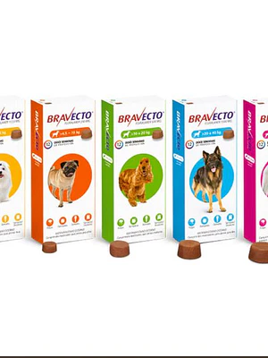 Bravecto 12 semanas 10-20kg