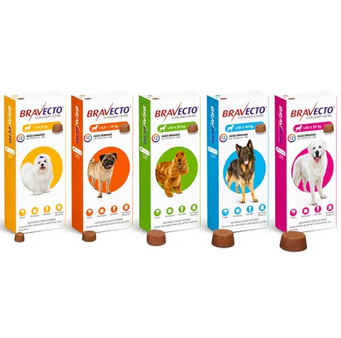 Bravecto 12 semanas 2-4,5kg