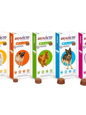 Bravecto 12 semanas 2-4,5kg