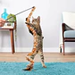Kong Cat Swizzle Bird  - thumbnail 3
