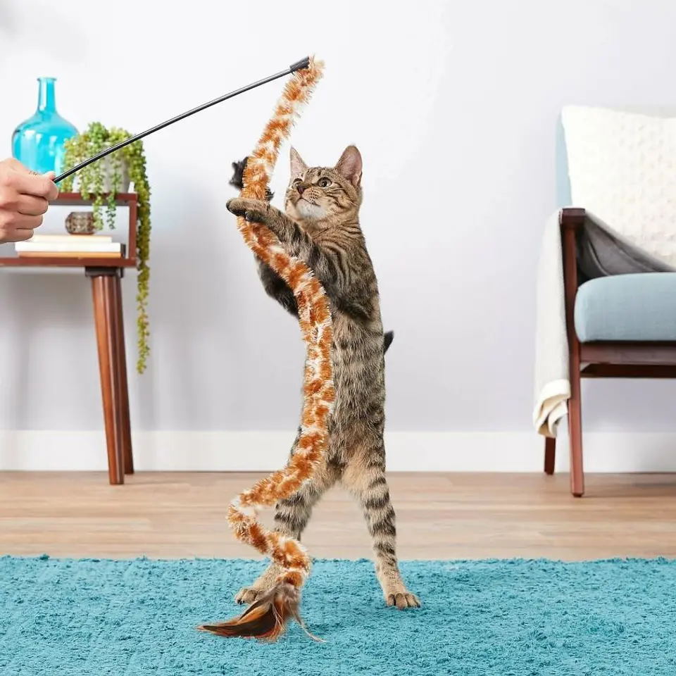 Kong Cat Swizzle Bird  3