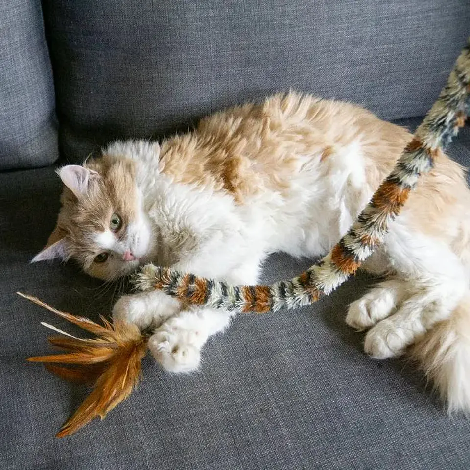 Kong Cat Swizzle Bird  4