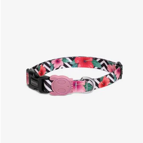 Collar Mahalo Zeedog Talla M