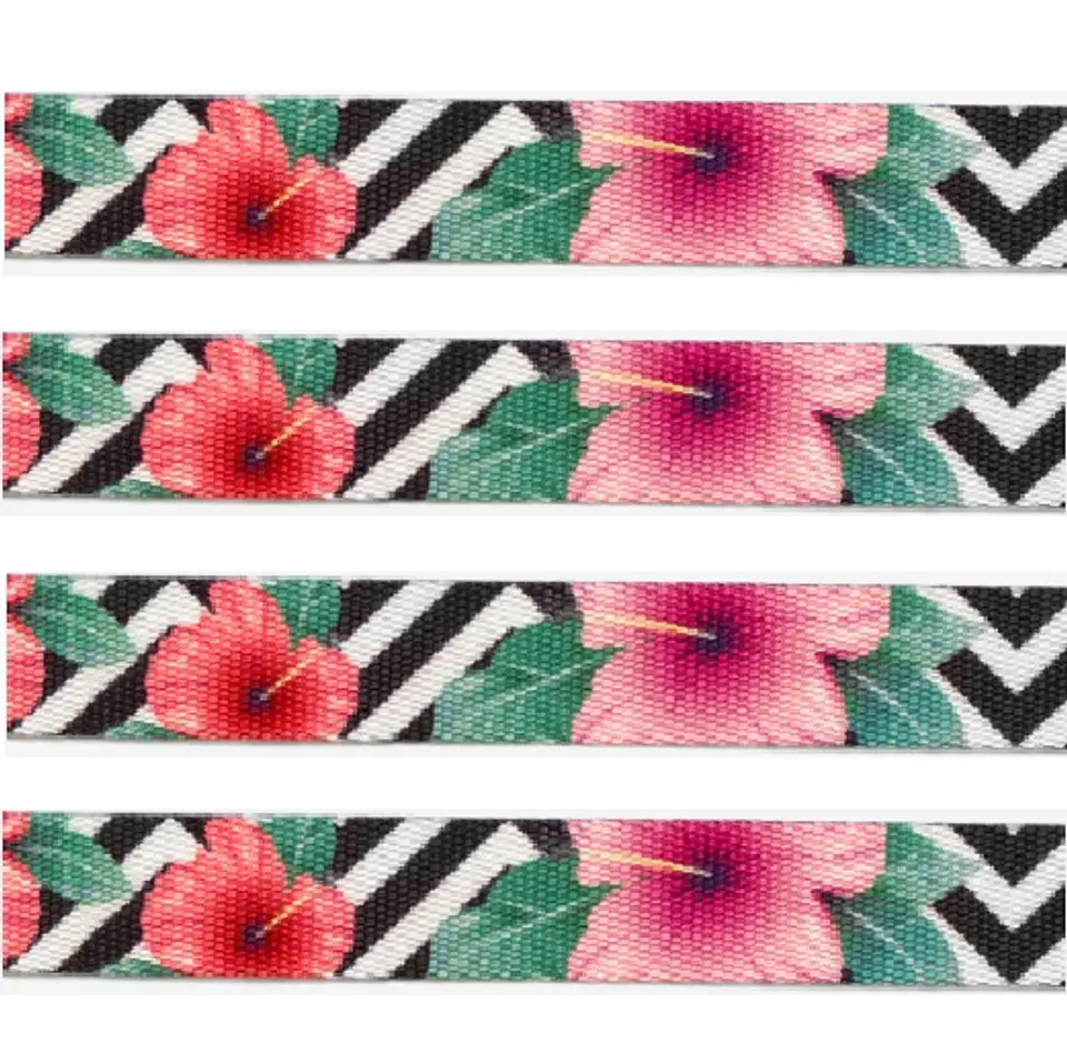 Collar Mahalo Zeedog Talla M 3