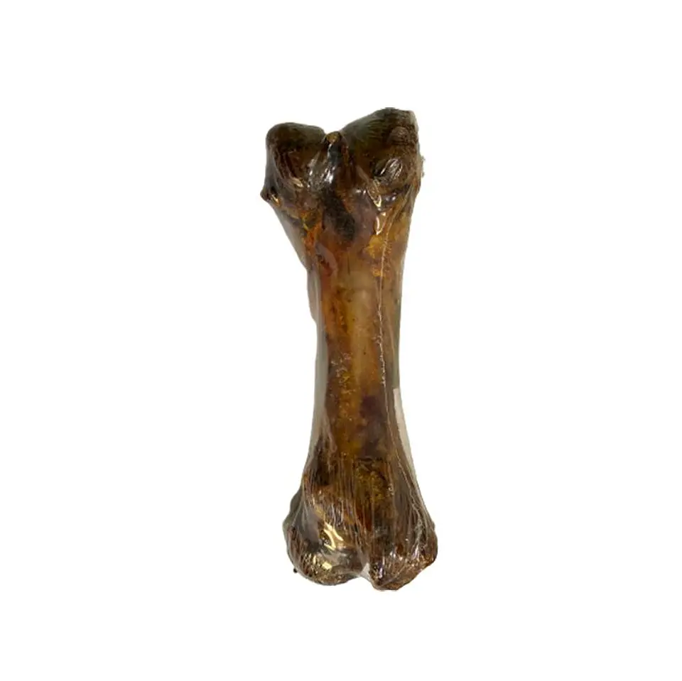 Femur cerdo simple 1