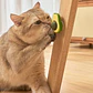Palta con Catnip 25grs - thumbnail 3