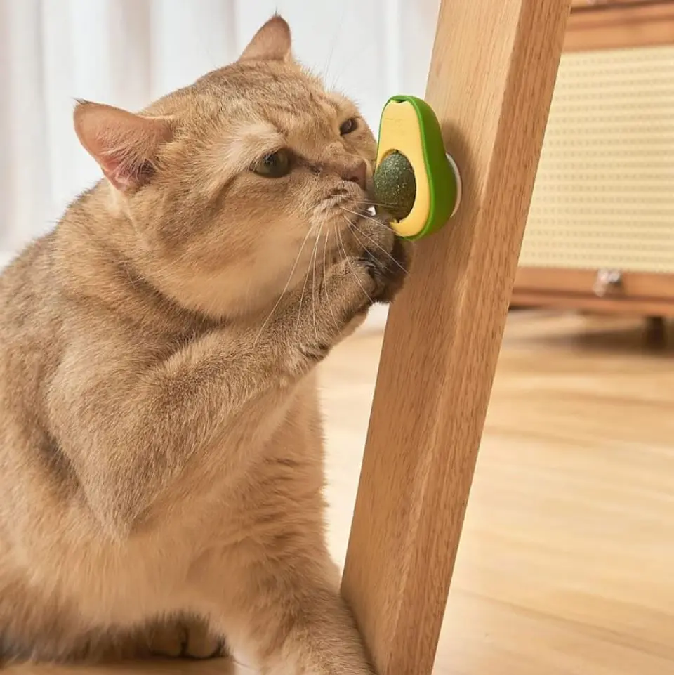 Palta con Catnip 25grs 3