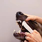 Toallitas Dentales Perro y Gato Caryodent Finger Wipes 50 unidades - thumbnail 4