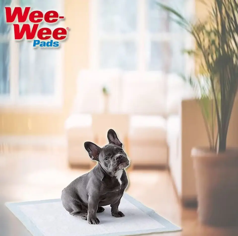 Sabanilla Four Paws Wee-Wee Pads 24hrs 30und 4