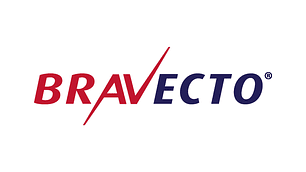 Perrilook - Peluqueria Canina y Tienda de Mascotas en La Reina