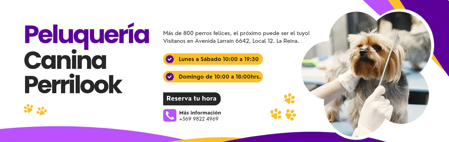 Alimentos Premium