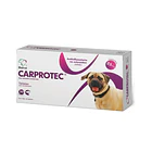 Caja con 20 Tabletas de Carprotec de 25 mg para Perro 1