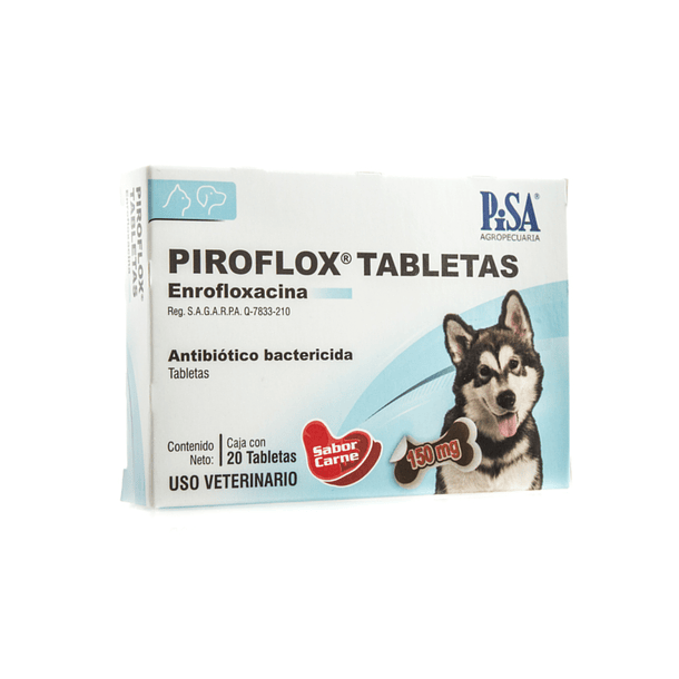 cómo se trata la salmonella en los perros