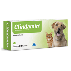 Clindamin con 20 Tabletas 