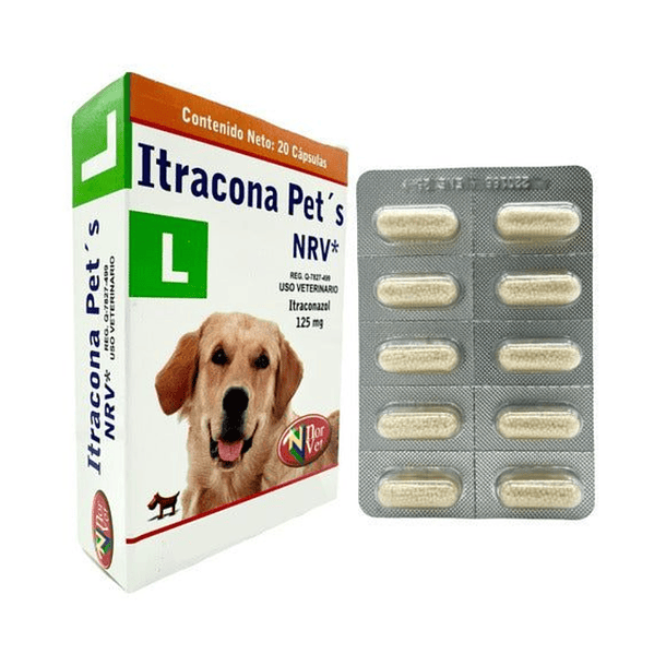 Itracona Pet's L NVR para perro con 20 cápsulas.