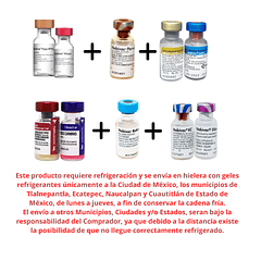 Esquema de Vacunacion Canina  MSD