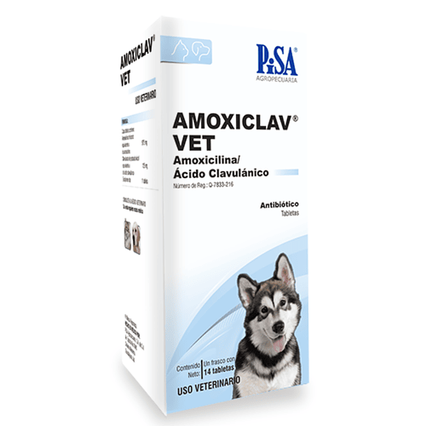 Amoxiclav Vet Frasco con 14 tab 