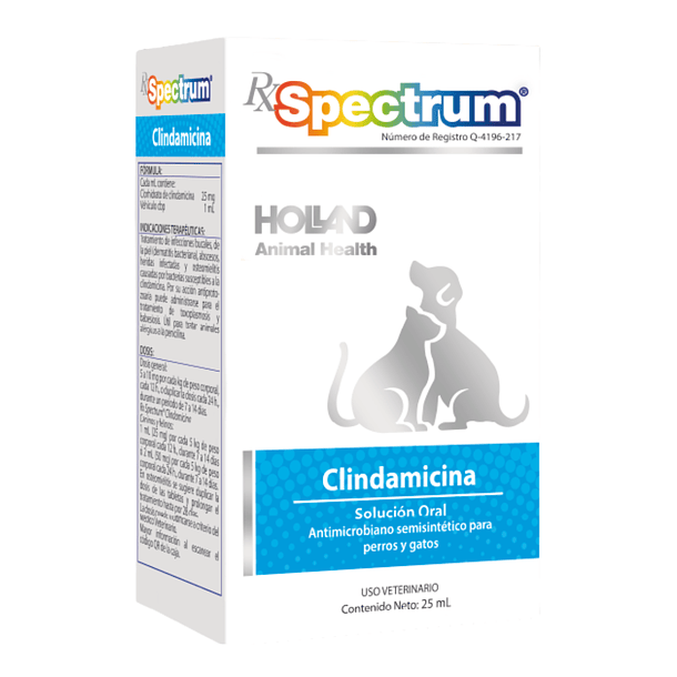 Clindamicina solución 25ml Holland