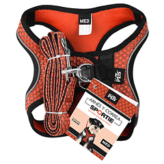 Set arnés y correa mediana naranja para perro