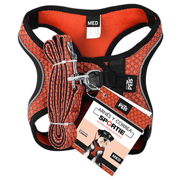 Set arnés y correa mediana naranja para perro