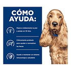 Alimento Hills Z/D para perro 3.63kg 2