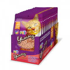 Caja de premios Yummy para gato (12 pzas con 60g c/u)