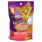 Caja de premios Yummy para gato (12 pzas con 60g c/u) 2