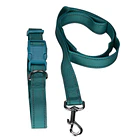 Correa y Collar ajustable Grande para perro 2