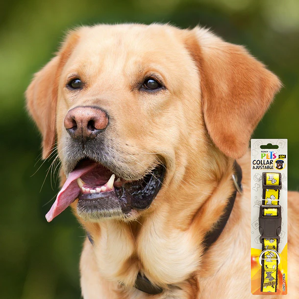 Collar ajustable Grande para perro  2