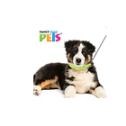 Collar mediano de nylon c/bandas reflejantes 2