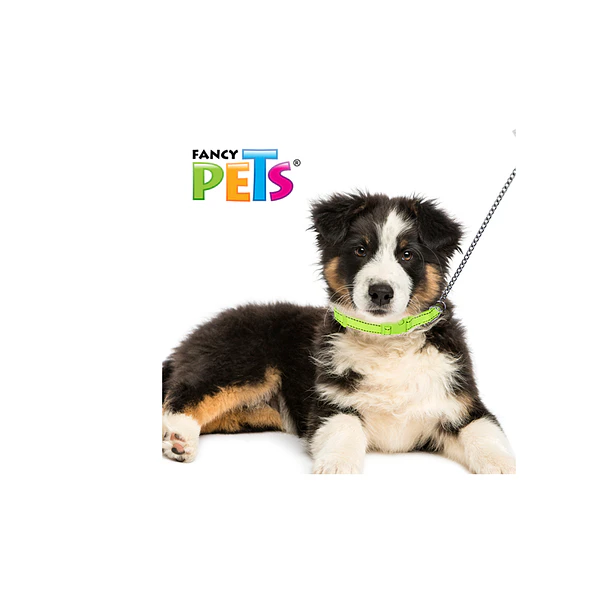 Collar mediano de nylon c/bandas reflejantes 2