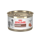 Royal Canin Lata Recovery 145gr. para perros y gatos 1