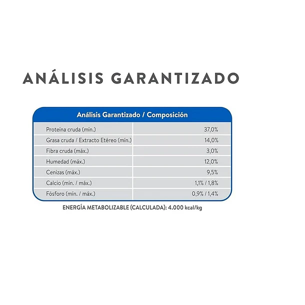 Alimento Excellent Kitten de 2 kg  2