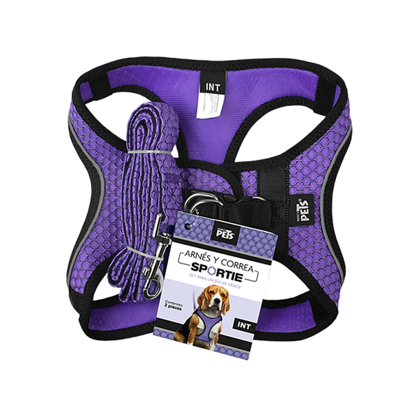 Set arnés y correa intermedia morado para perro