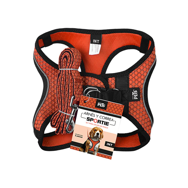 Set arnés y correa intermedia naranja para perro