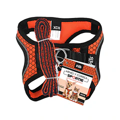 Set arnés y correa extra chico naranja para perro y gato**