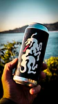 IPA NEGRA ANIVERSARIO  - Miniatura 2