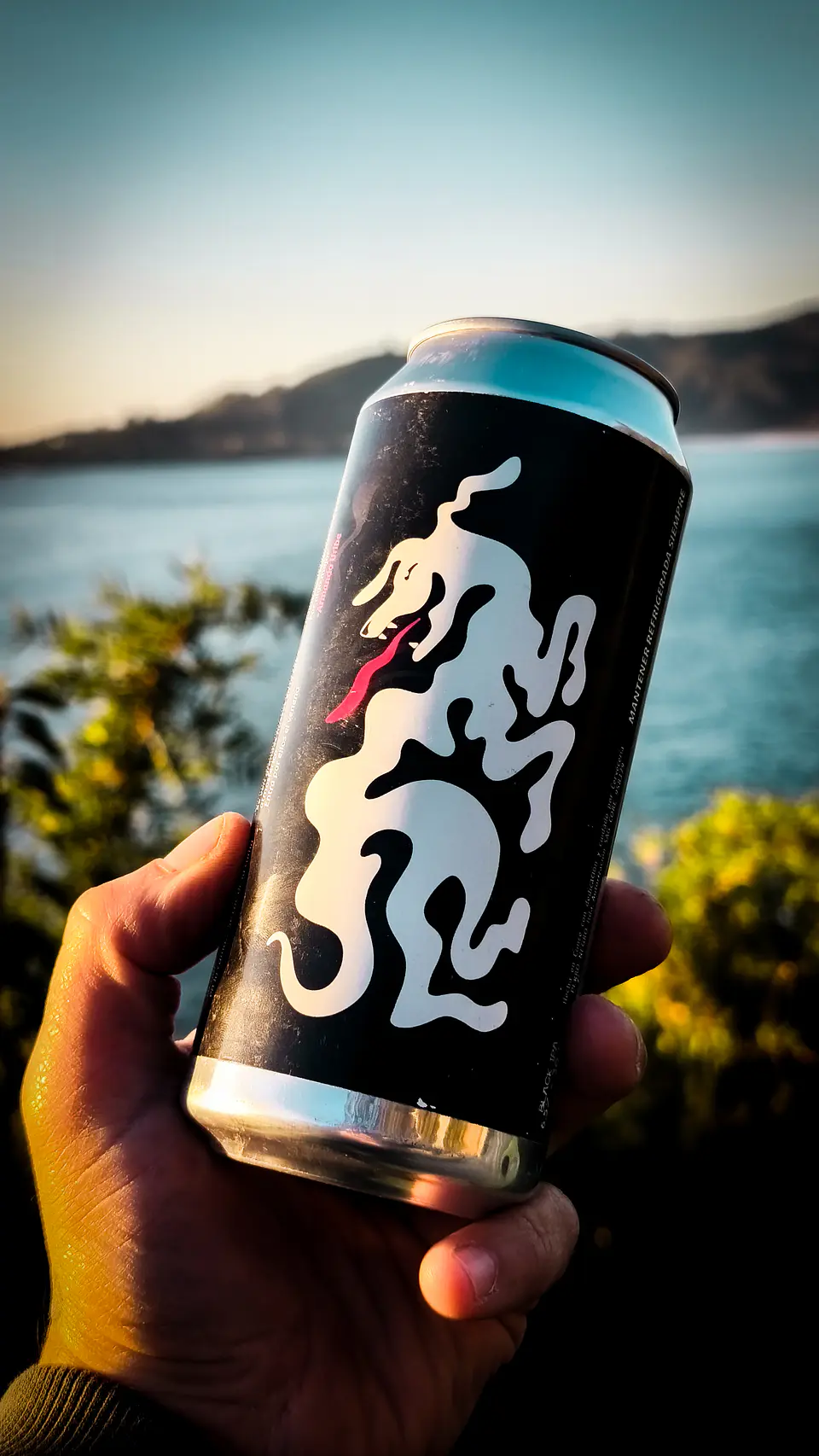 IPA NEGRA ANIVERSARIO  2