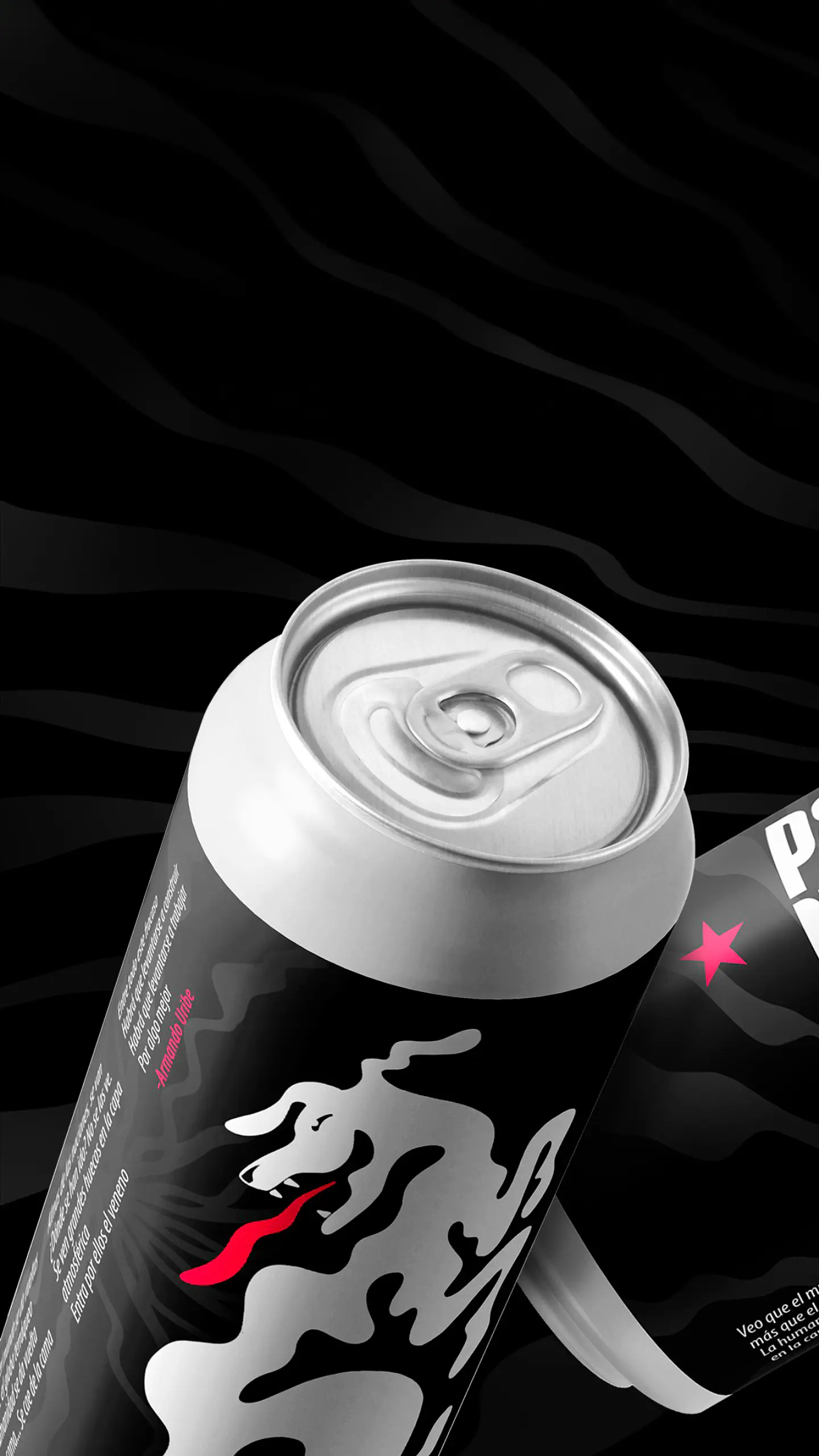 IPA NEGRA ANIVERSARIO  1
