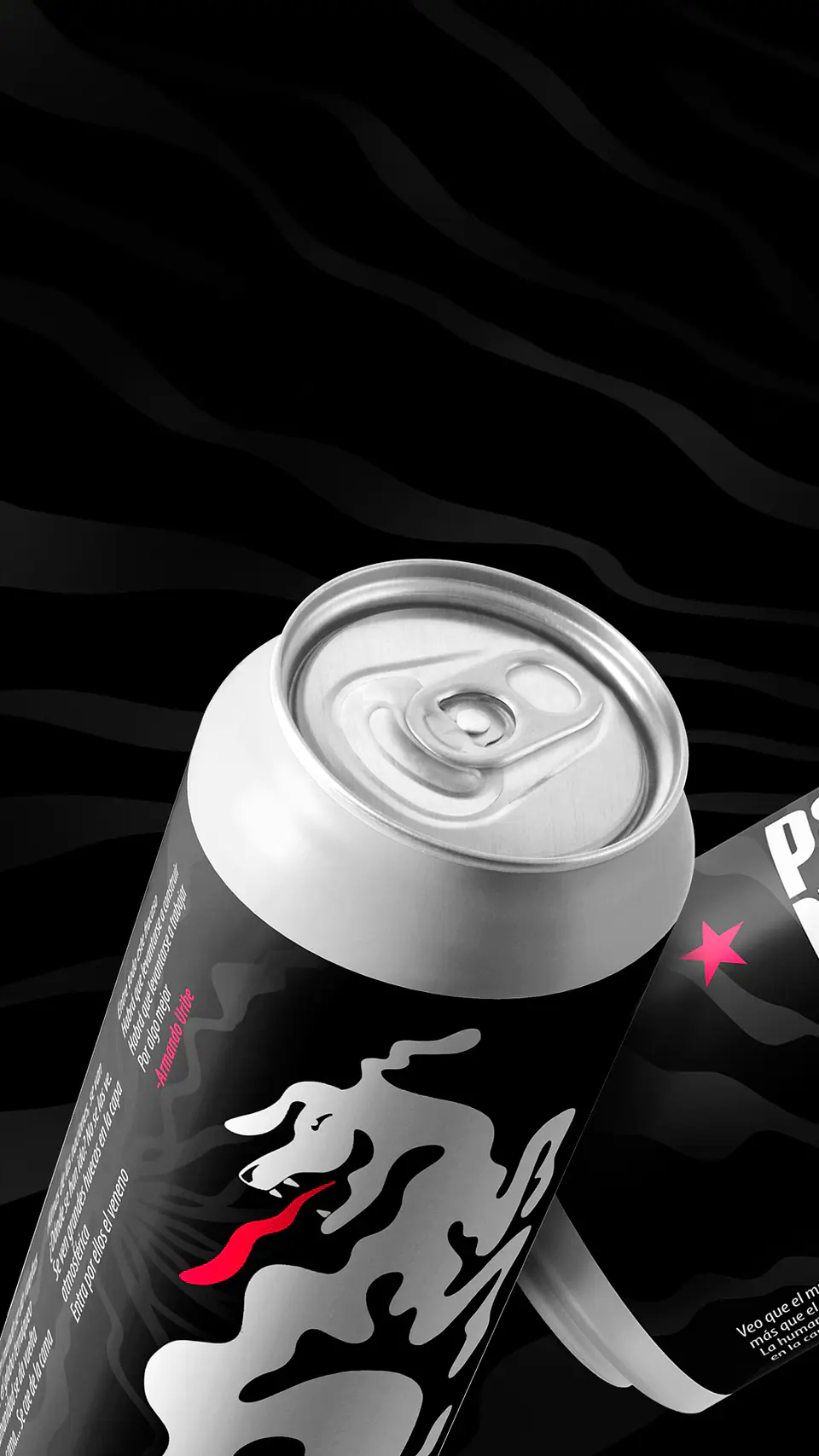 IPA NEGRA ANIVERSARIO  1