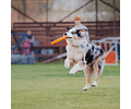 Frisbee de goma, disco de juego