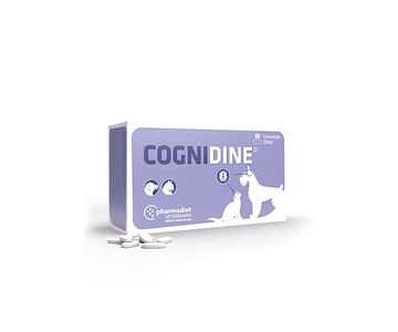 Cognidine - 60 comprimidos -