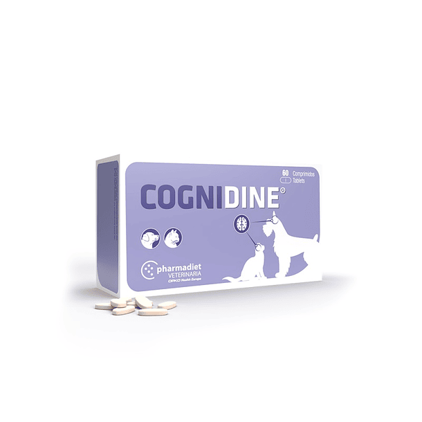 Cognidine - 60 comprimidos 