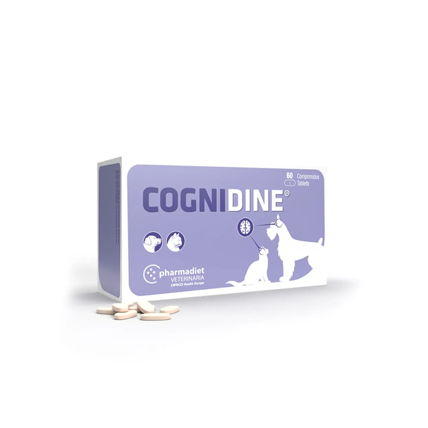 Cognidine - 60 comprimidos  1