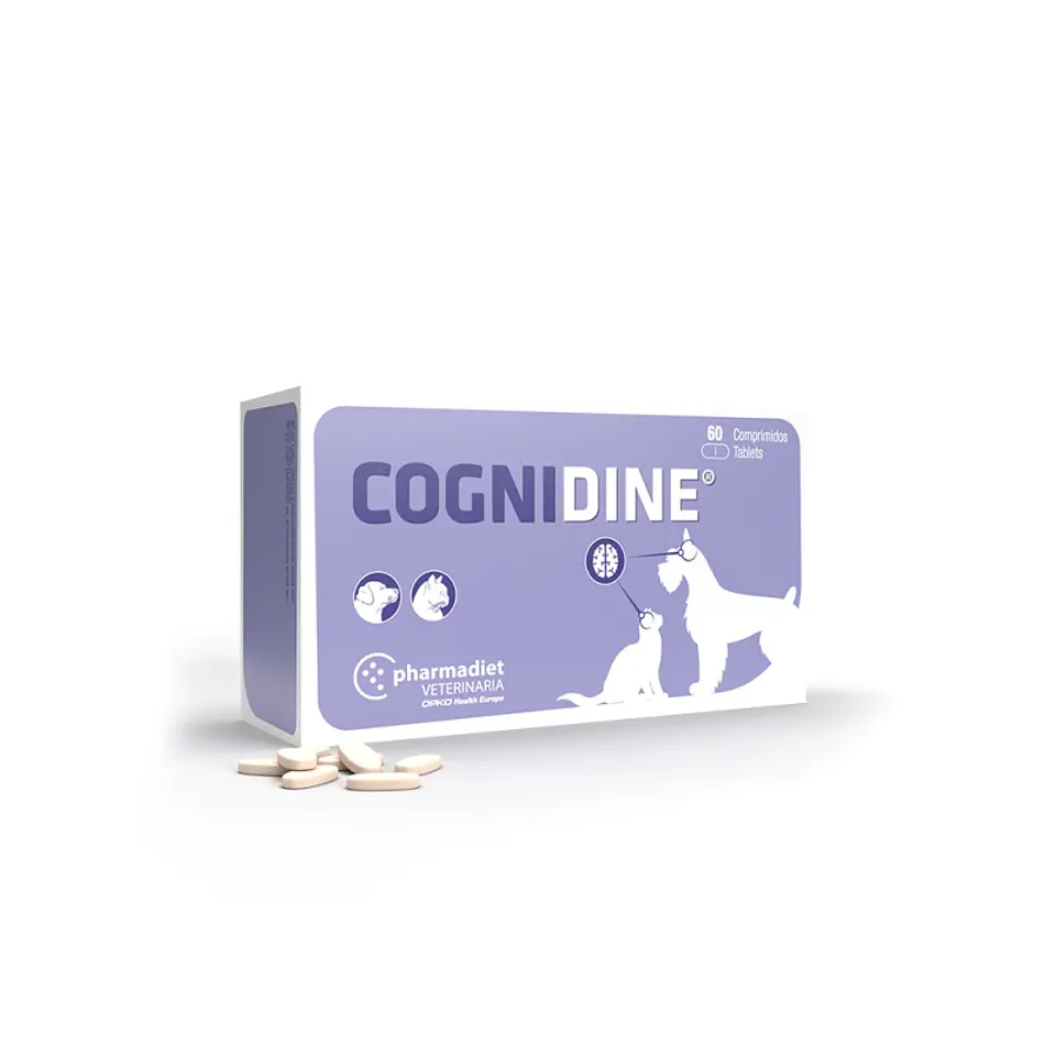 Cognidine - 60 comprimidos  1