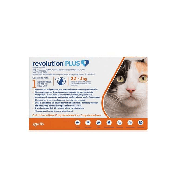 Revolution 6% -  Gato 2.5-5kg
