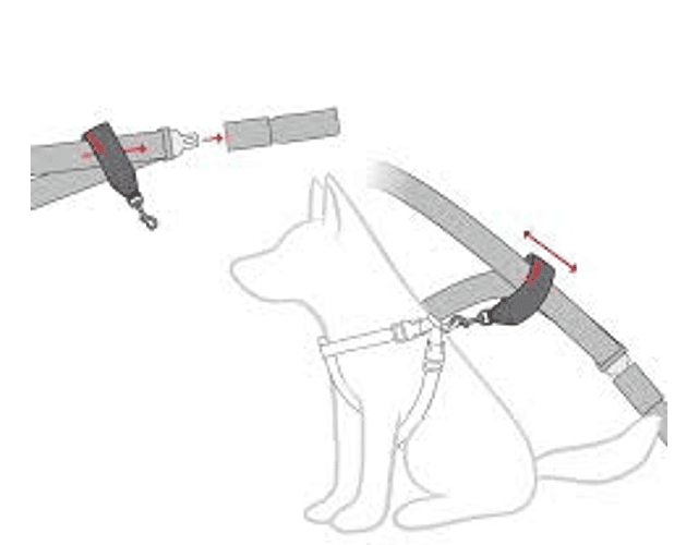 Cinturon de Seguridad par Mascotas - Car Restriant 