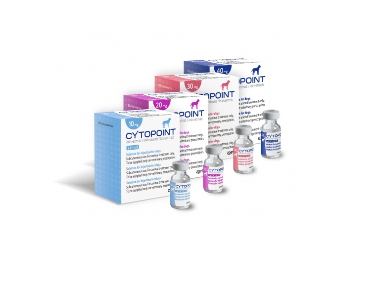 Atopic Dermatitis Dog Cytopoint Injection Atopic Dermatitis