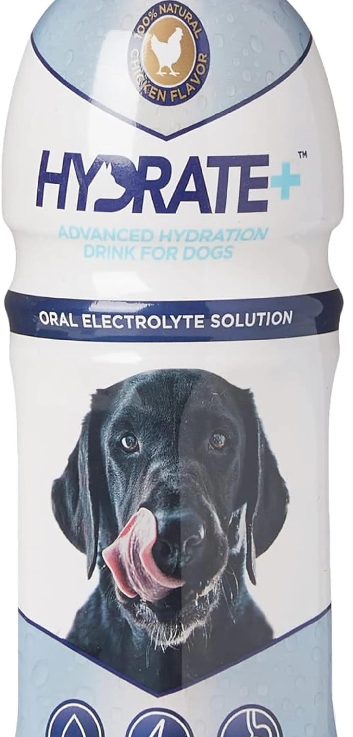 Oralde Hydrate Perro 500ml 1