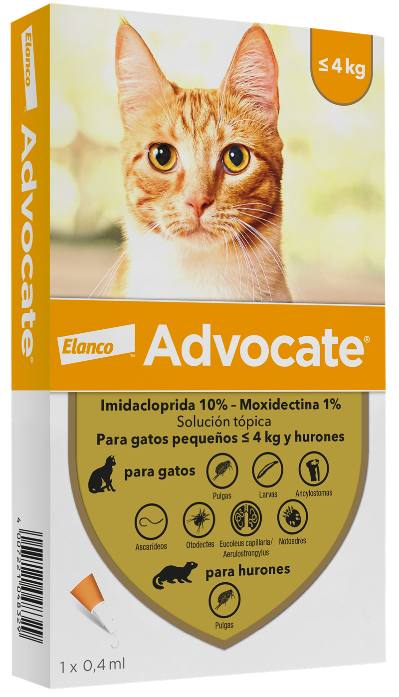 Advocate Gatos hasta 4 Kg